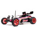 TLR LOSI LOS01020T3 1/16 mini JRX2 2WD Buggy Brushed RTR Black (8319075549421)