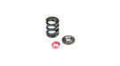 TLR LOSI TLR232083 HD Slipper Spring Set SHDS All 22 (Replaces TLR232066) (8319249187053)