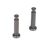 TLR LOSI TLR244007 Hinge Pins4x21mmTiCn(2):8B 3.0 - Hobby City NZ (8319262916845)