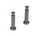 TLR LOSI TLR244007 Hinge Pins4x21mmTiCn(2):8B 3.0 - Hobby City NZ (8319262916845)