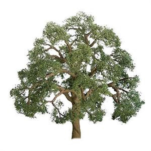 JTT Scenery 92326 75-85mm Live Oak (2) - Hobby City NZ (8324600627437)