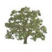 JTT Scenery 92423 200mm Live Oak (7537662886125)