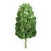 JTT Scenery 94318 75mm Sycamore (3) (8324602167533)