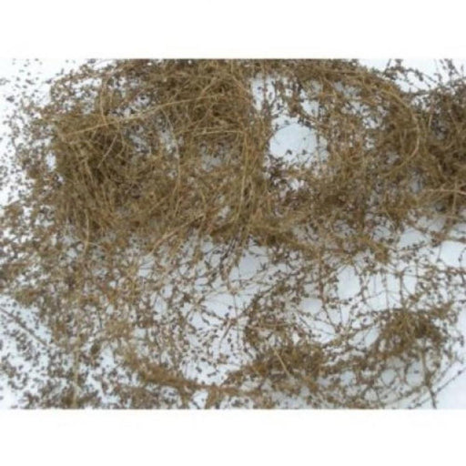 JTT Scenery 95063 Dry Vine Dead Foliage - Hobby City NZ