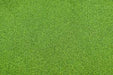 JTT Scenery 95402 Grass Mat: 2500x1250mm LghtGrn (7537666687213)