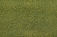 JTT Scenery 95407 Grass Mat: 1250x850mm MossGrn - Hobby City NZ (8150701080813)