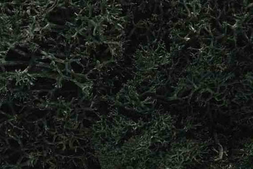 Woodland Scenics L164 LICHEN DARK GREEN (7540618854637)