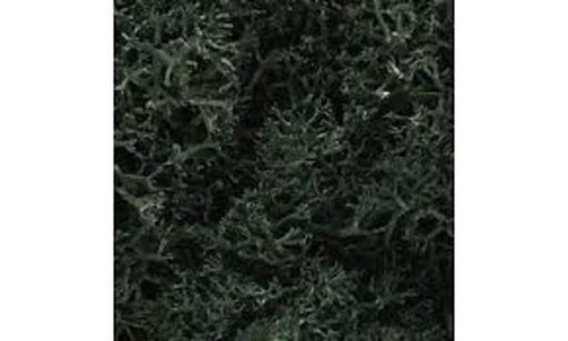 Woodland Scenics L168 LICHEN DARK GREEN MIX (8807576764653)