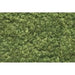 Woodland Scenics F51 LIGHT GREEN FOLIAGE - Hobby City NZ