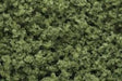 Woodland Scenics FC135 UNDERBRUSH CLU/FOLIAGE LI/GRN (8807588036845)