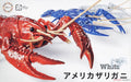 xFujimi 170886 Biology Research 24EX-2: Procambarus Clarkii (Crayfish) Snap Kit - White (7637946269933)