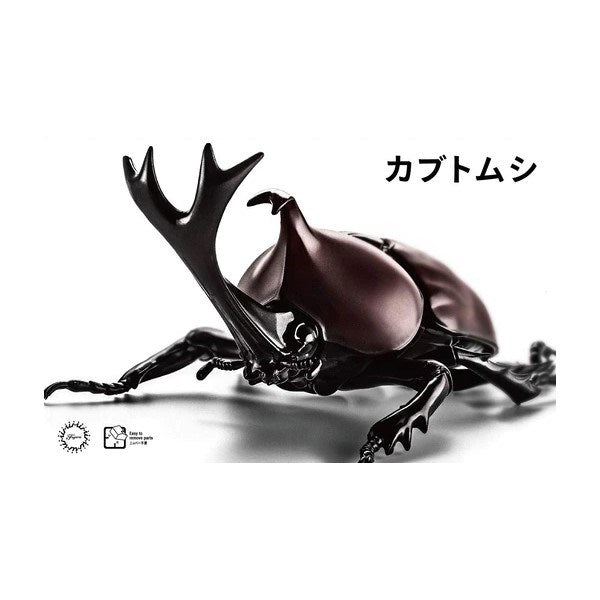 Fujimi 171234 Biology: Beetle - Hobby City NZ (8324822860013)