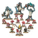 Warhammer Age of Sigmar 70-57 Start Collecting! Gloomspite Gitz (8008764293357)