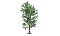 Hornby R7211 Horse Chestnut Tree (7650706915565)