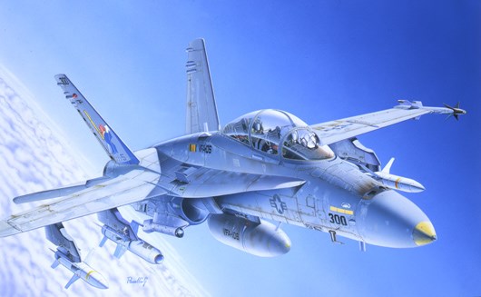 Italeri 016 1/72 F/A-18 Wild Weasel (8219030192365)