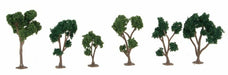 JTT Scenery 92128 Green Deciduous 1.5- 2" (10) (8346420773101)