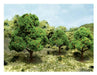 JTT Scenery 92139 Apple Trees 2.5- 3.5" (6) - Hobby City NZ (8346420936941)