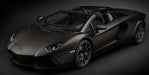 Pocher HK121 1/8 Kit: Aventador R/ster Blk (8446606475501)