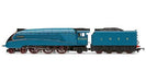 Hornby R3395TTS R/ROAD TTS: LNER Cl.A4'Mallard (8745073770733)