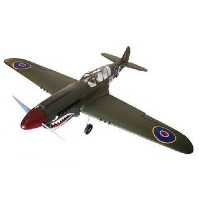 Seagull Models 250S New version P-40N Warhawk Shark head 80in 33-38cc