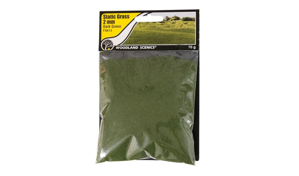 Woodland Scenics FS613 Static Grass Dark Green 2mm (8807594393837)