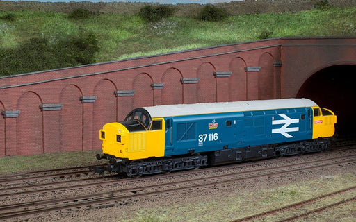 Hornby R30185 RailRd Plus BR CL.37 37116'Com - Hobby City NZ