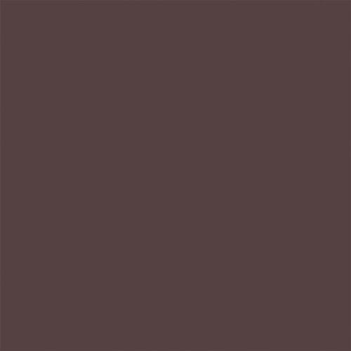 Tru-Color Paint 410 MATTE ROOF BROWN (6631010009137)